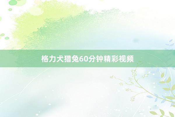 格力犬猎兔60分钟精彩视频